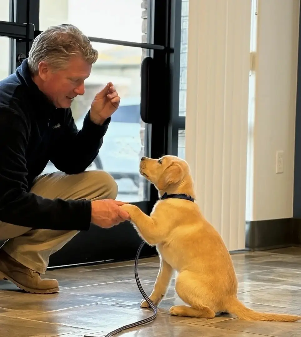 Liberty Dogs Volunteer Puppy Raisers