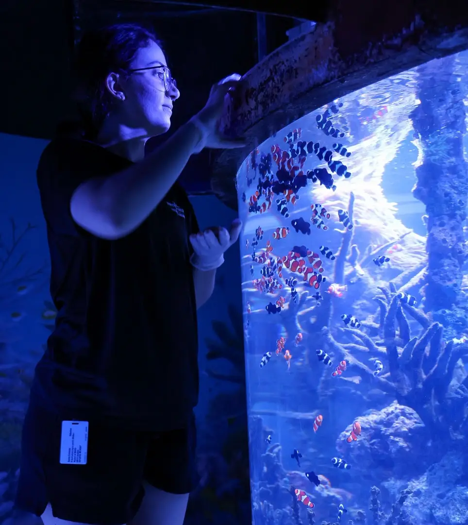 Fish and Invertebrates (Aquatics) Internship