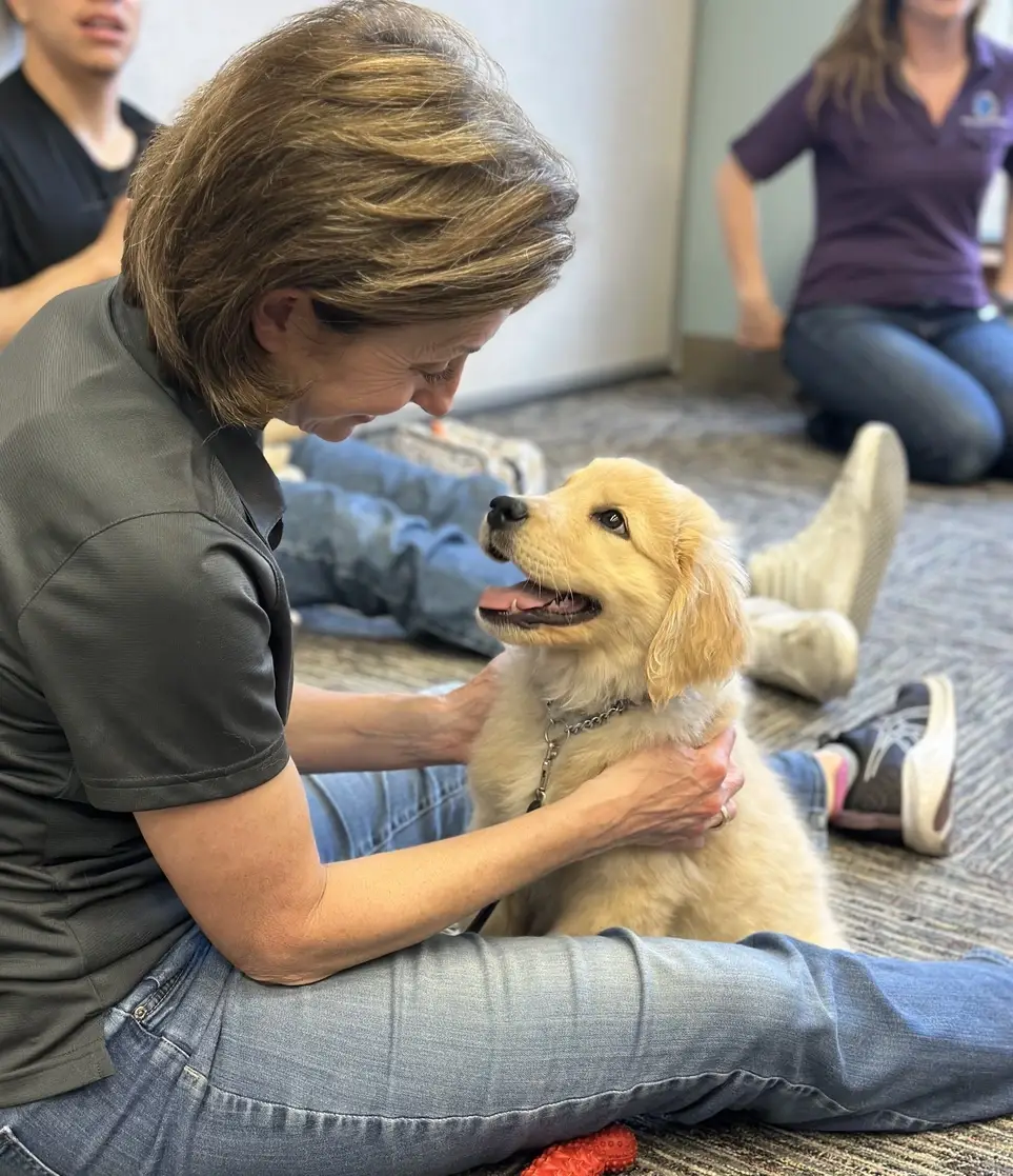 Urgent Need to Help Train LCC K-9 Comfort Dogs
