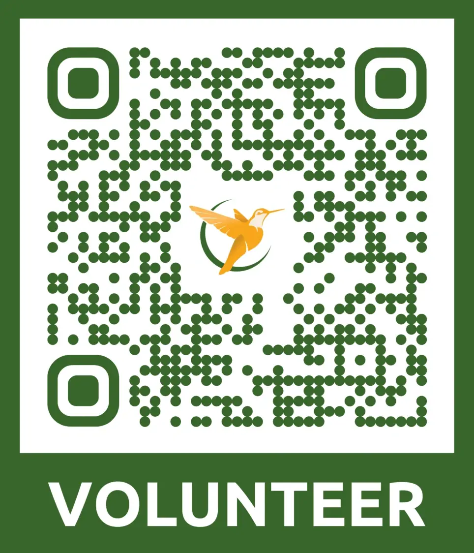 Music & Memories- A Hospice Journey