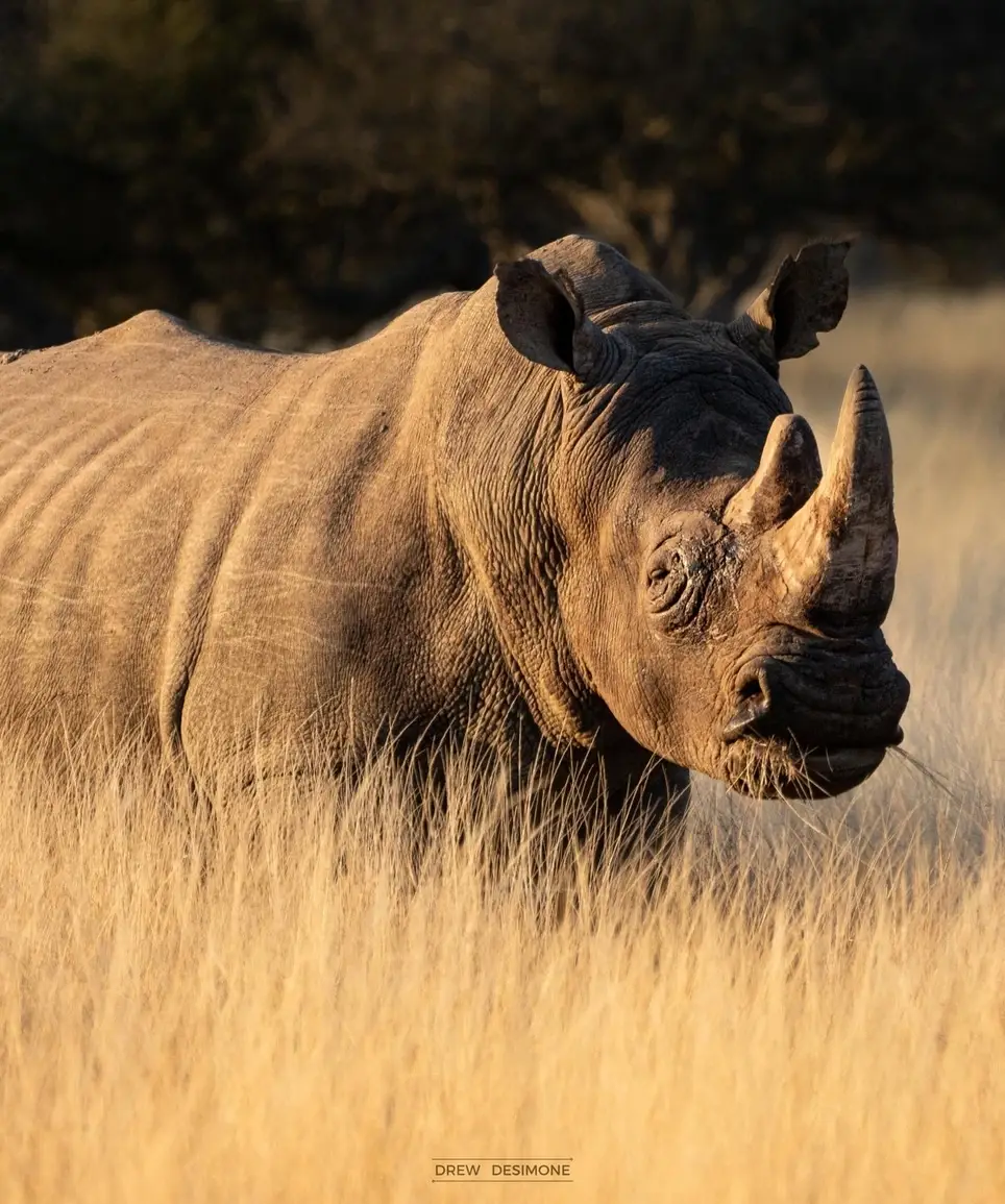 US based Grant Writer/Manager