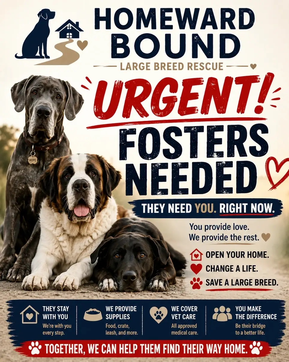 Foster Homes for Large Breed Rescue