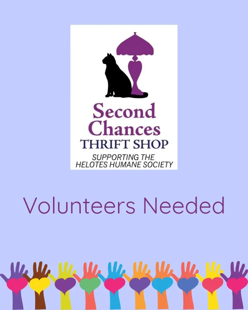 Thrift Shop Volunteer