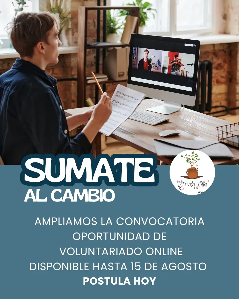 Voluntariado online agosto a octubre 2026