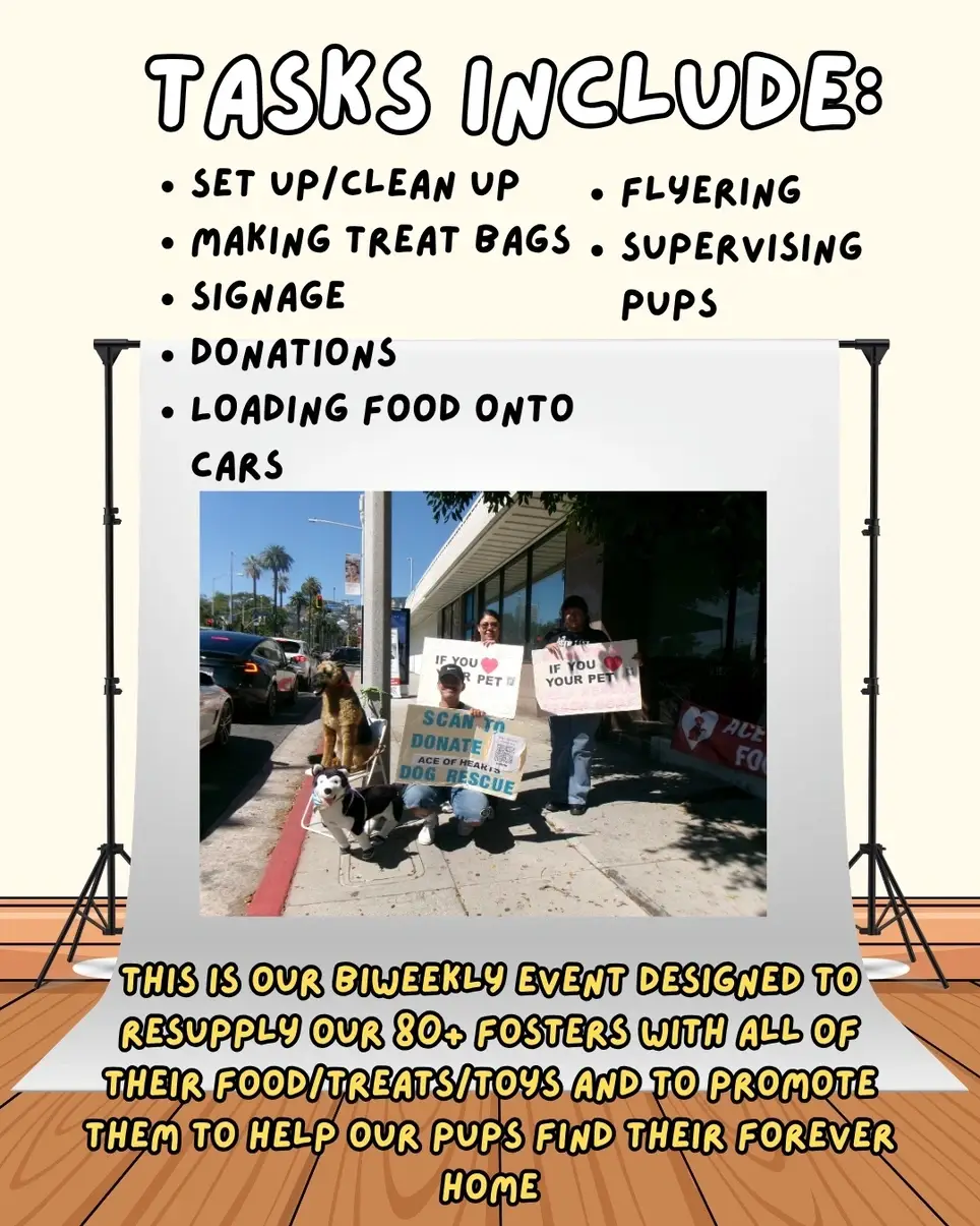 Dog Adoption/Foster Event! Volunteers Needed! Saturday September 12th!