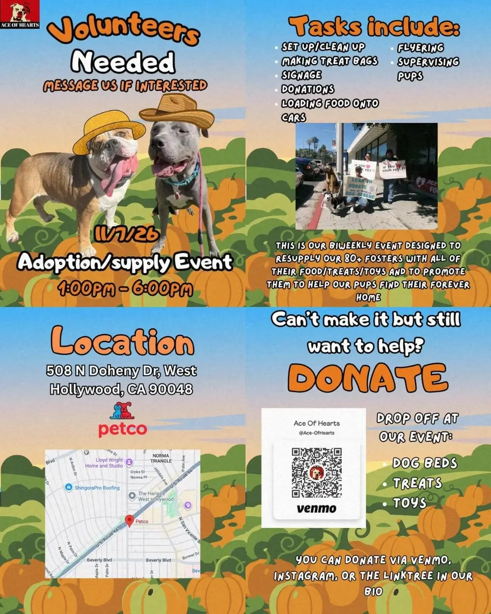 Dog Adoption/Foster Event! Volunteers Needed! 11/7/26