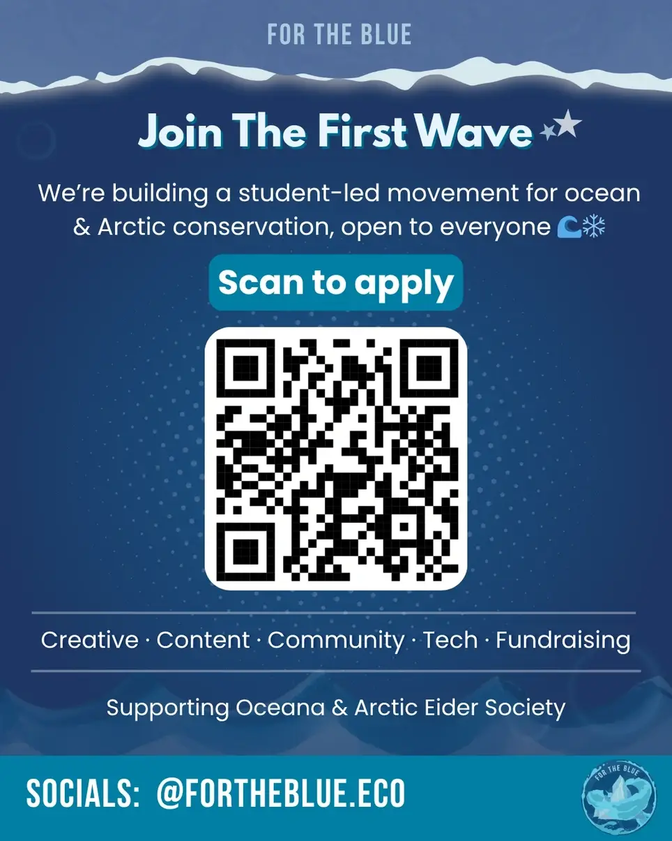 For The Blue 🌊❄️: Founding Team Member, Creative & Tech Volunteers (Remote)