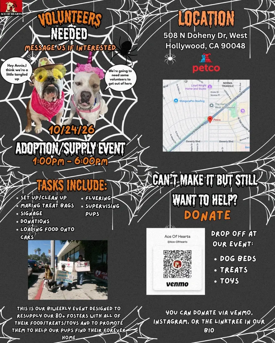Halloween Dog Adoption/Foster Event! Volunteers Needed! 10/24/26 (Costumes Encouraged)