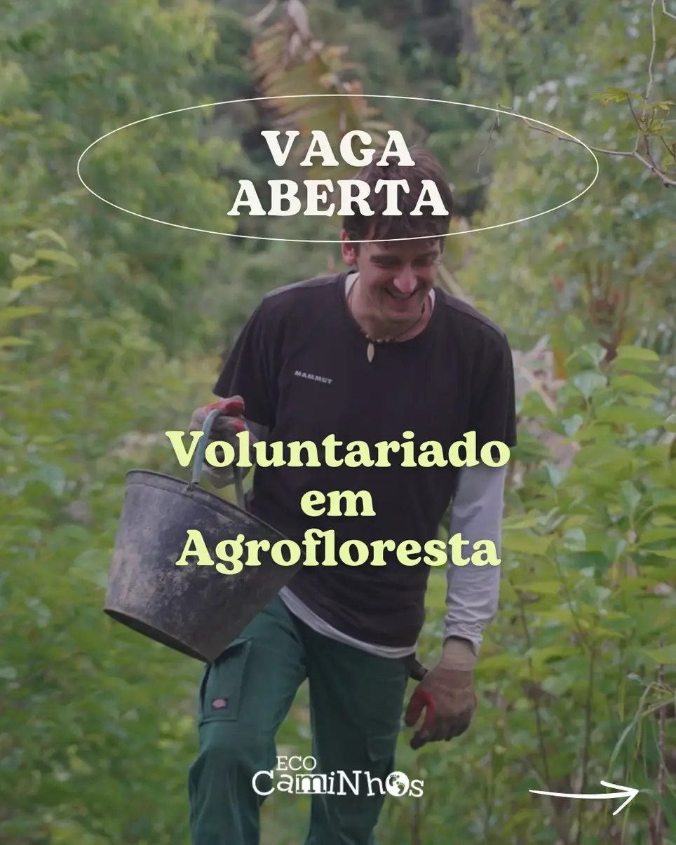 Voluntário/a em Agrofloresta