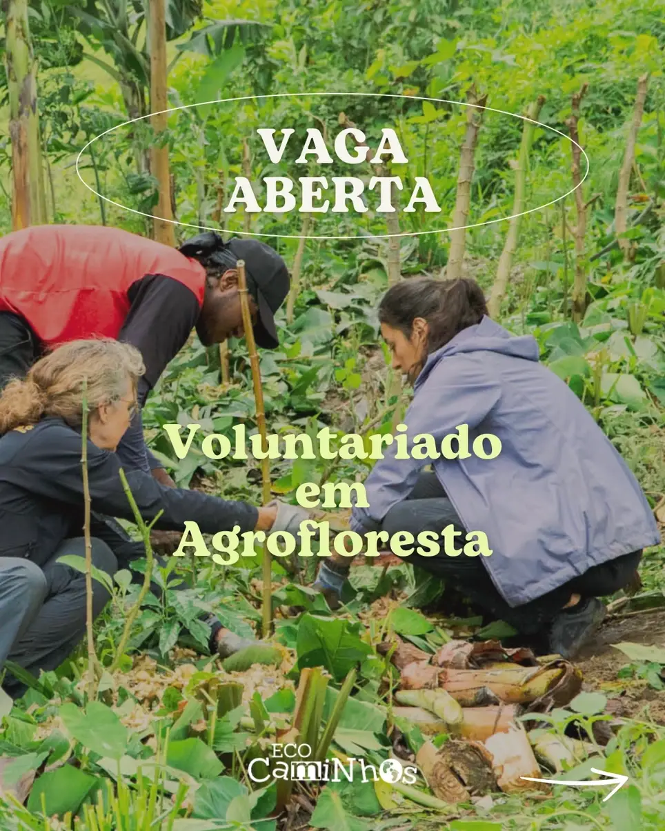 Voluntário/a em Agrofloresta
