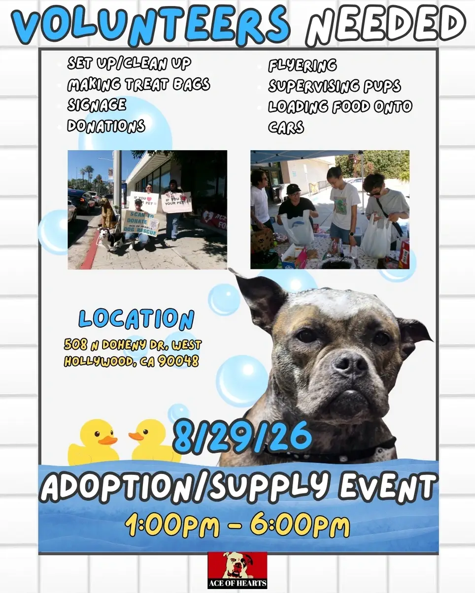 Dog Adoption/Foster Event! Volunteers Needed! Saturday August 29th!