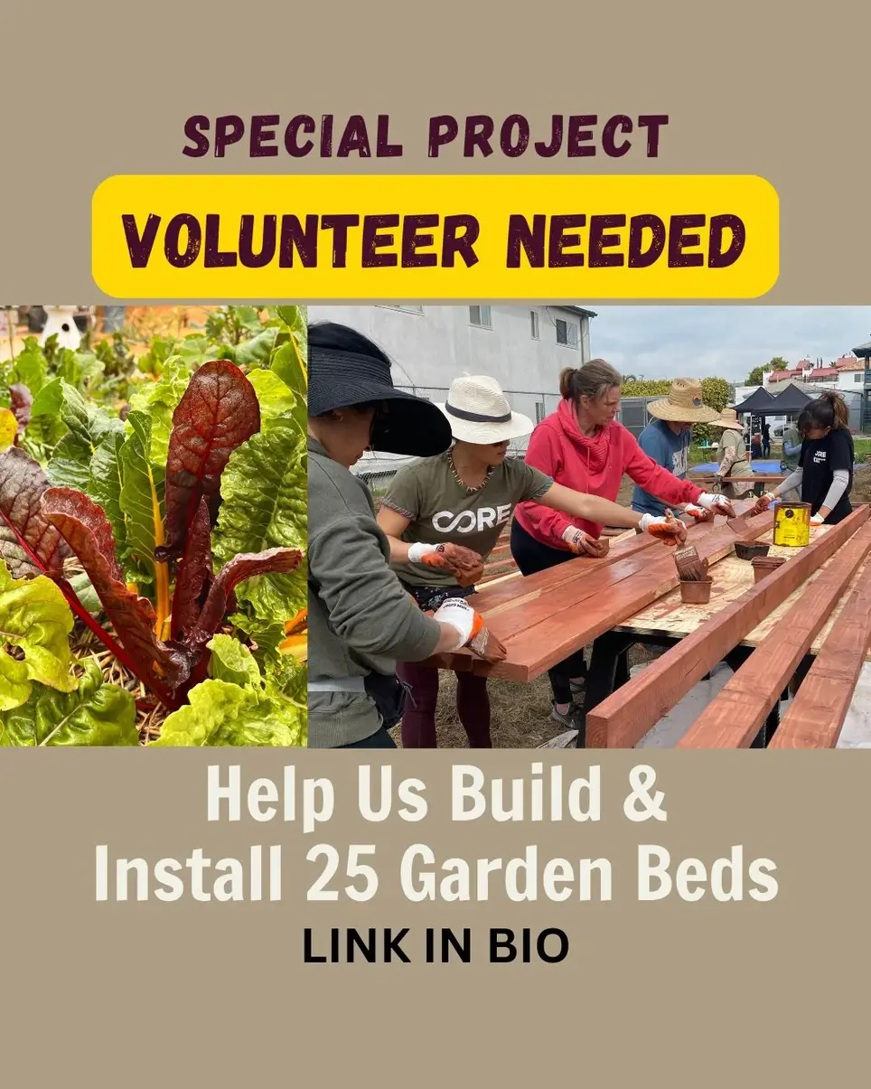 Day 2 Help build, install and plant TWENTY FIVE garden beds