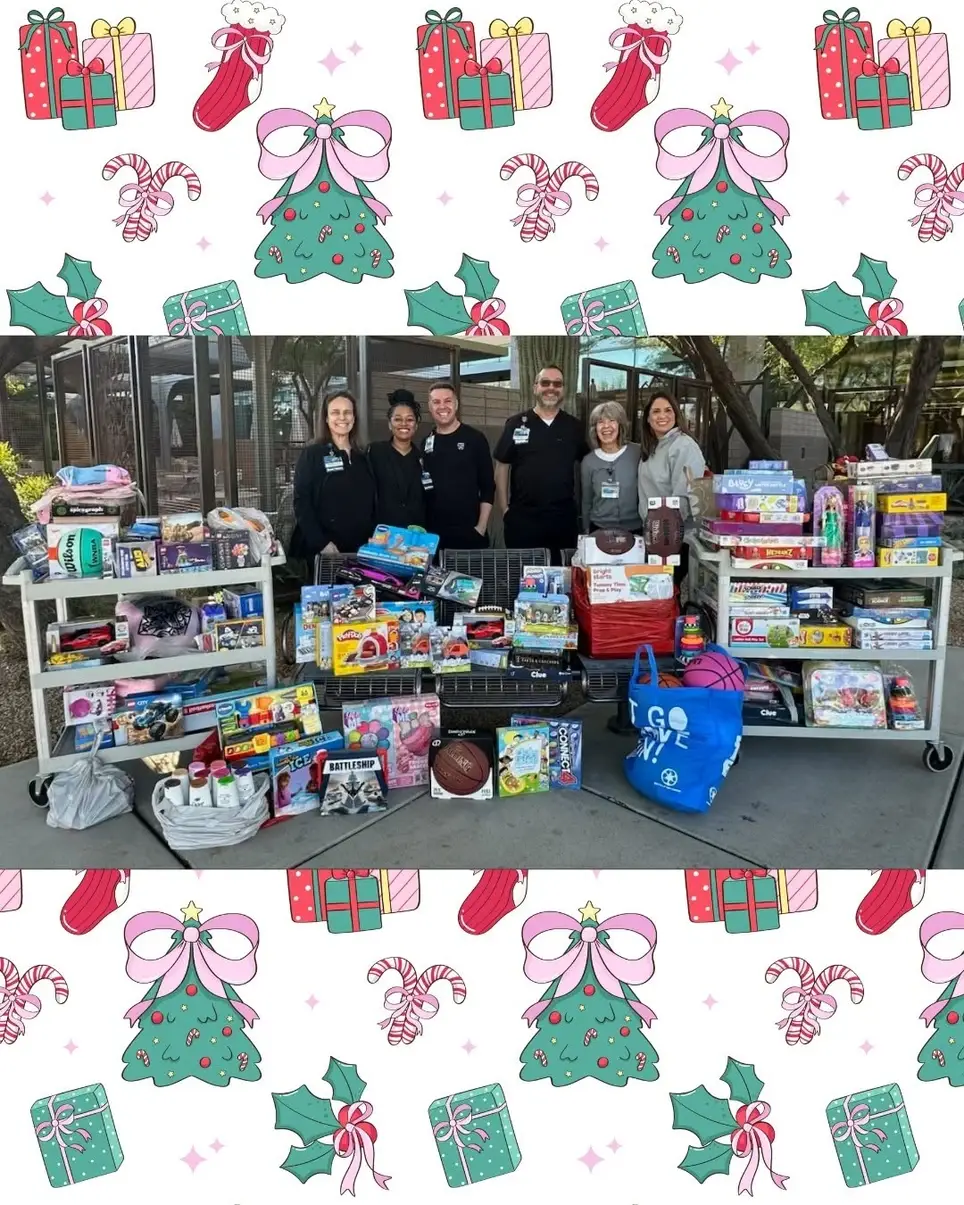 Christmas New Toy Donations Needed for Foster Children