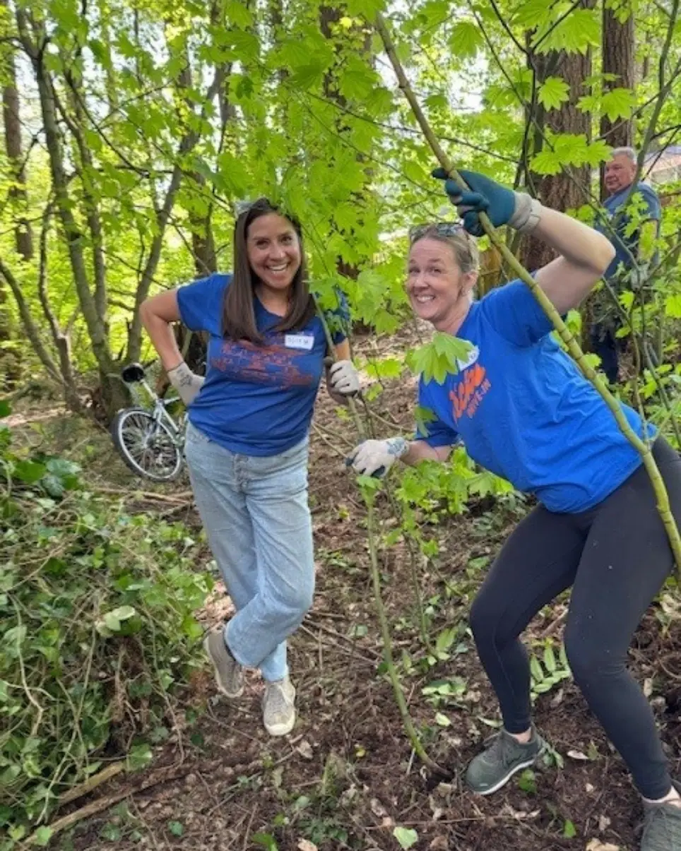 Save Trees at McCollum Park!