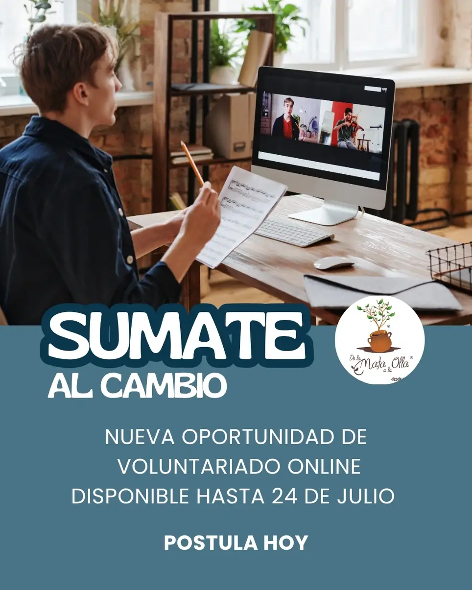 Voluntariado online agosto a octubre 2026
