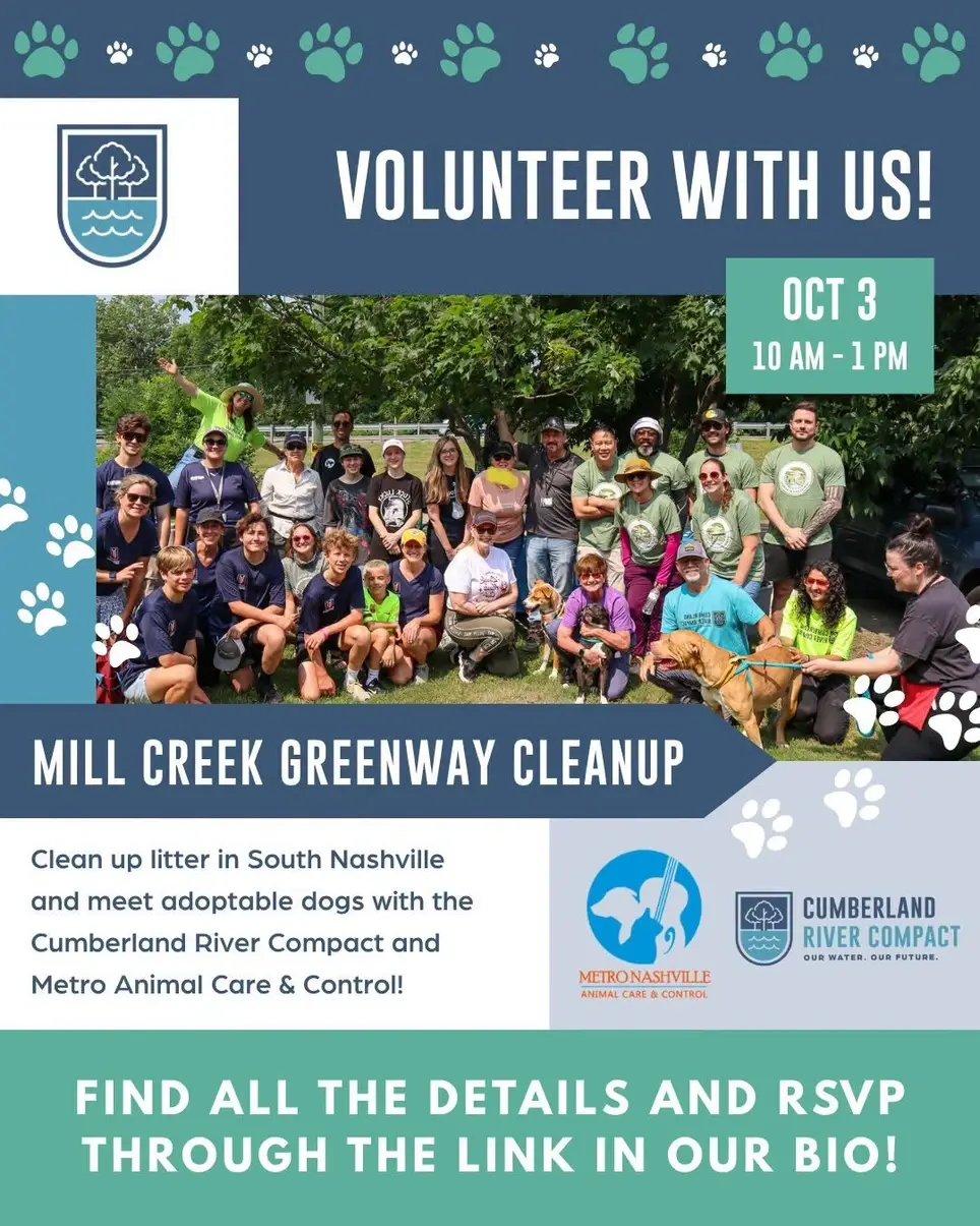 Mill Creek Cleanup