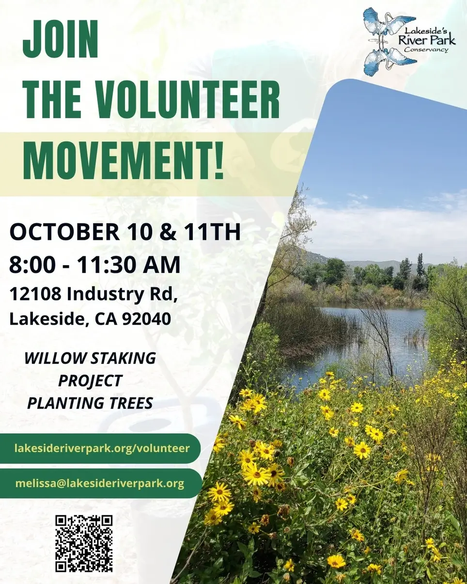 Willow Tree Planting