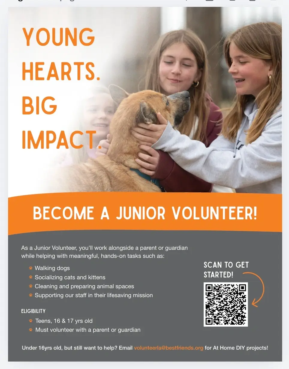 Become a Youth Volunteer at Best Friends in Los Angeles!