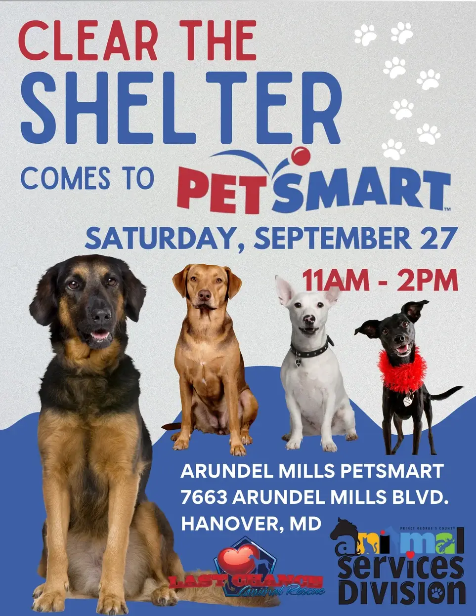 Spend Your Saturday Surrounded by Dogs!