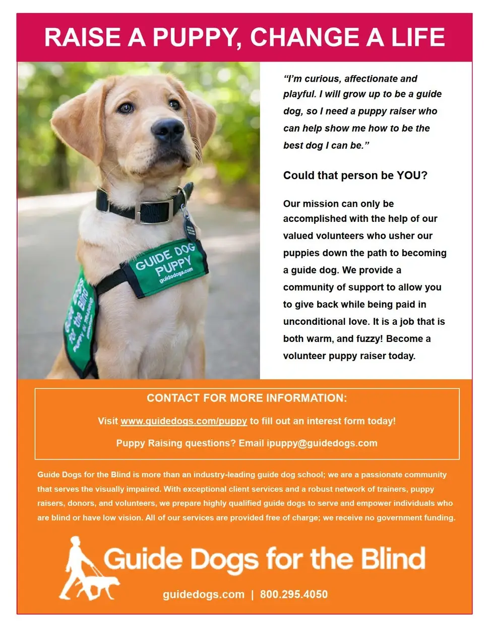 Raise a Puppy, Change a Life!