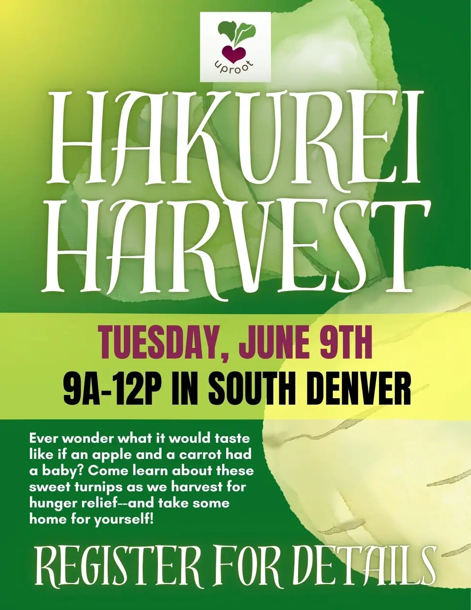 Harvest Hakurei Turnips for Hunger Relief!