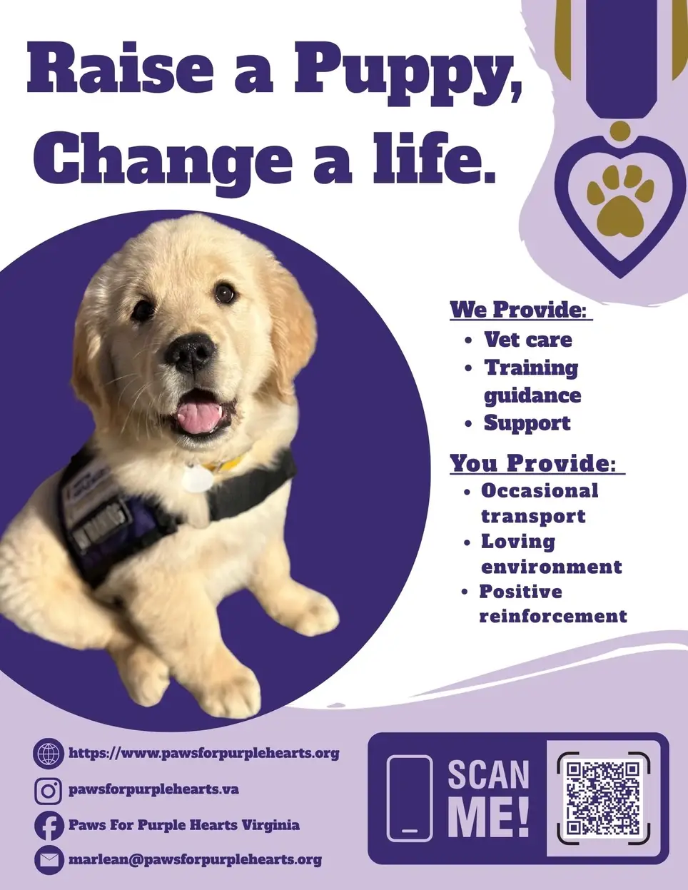 Paws for Purple Hearts Puppy Parent Volunteer!