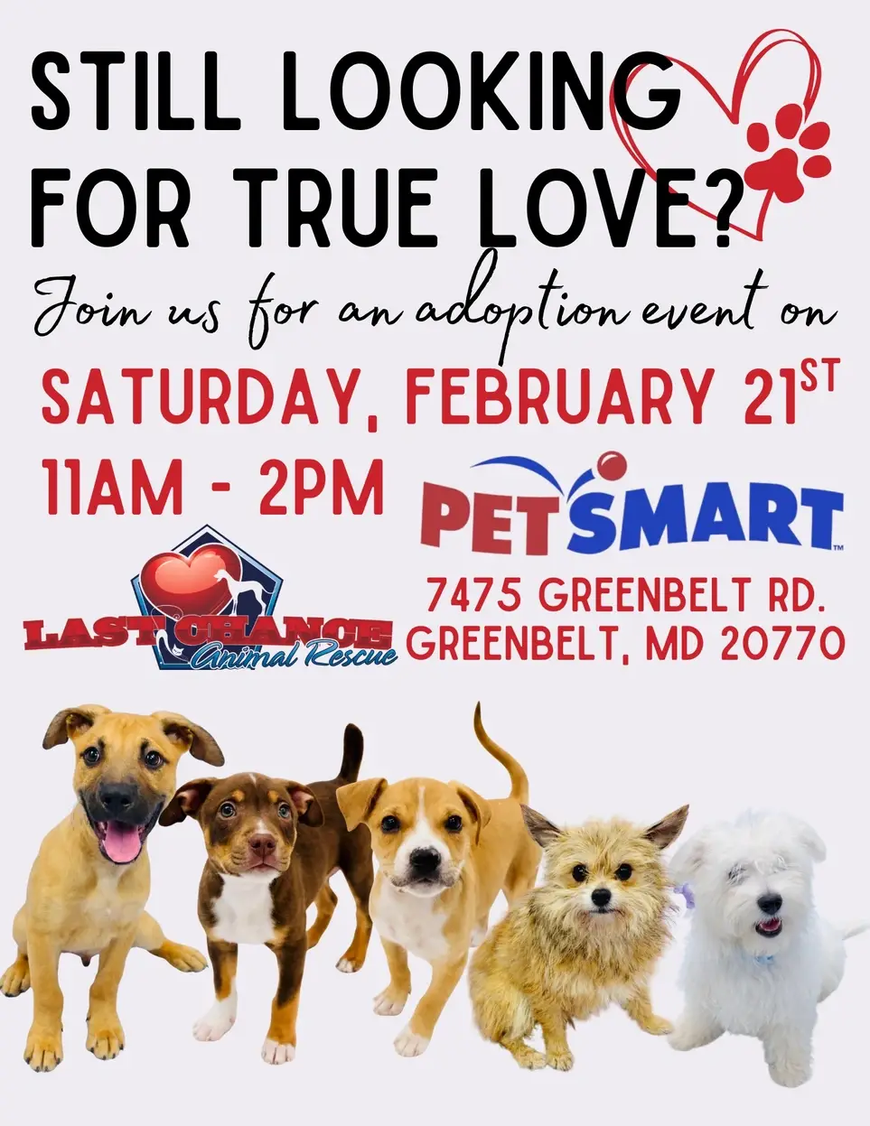 Spend Your Saturday Surrounded by Dogs!