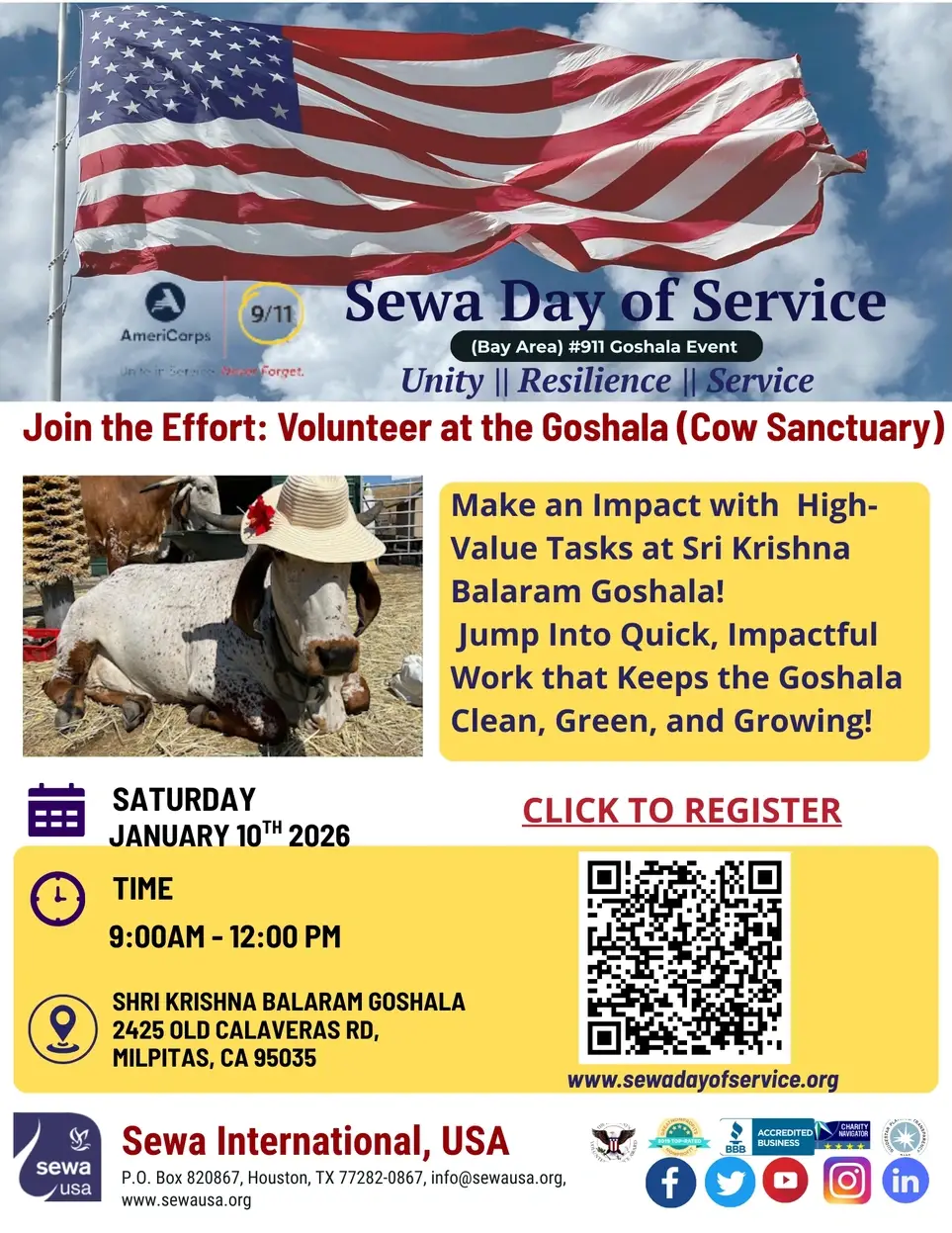 Volunteer at the Goshala (Cow Sanctuary)