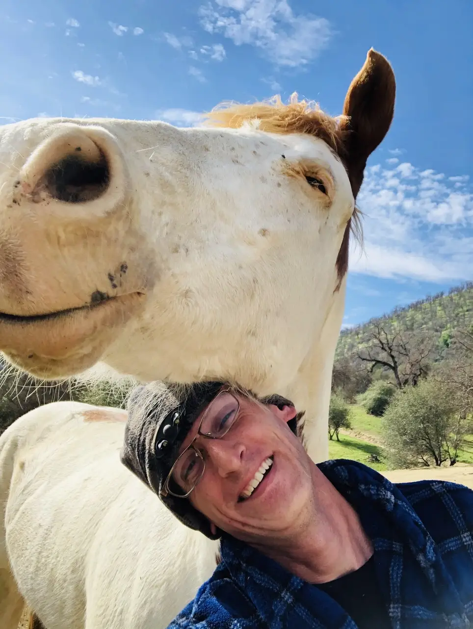 Fundraising and Sponsorship Volunteer