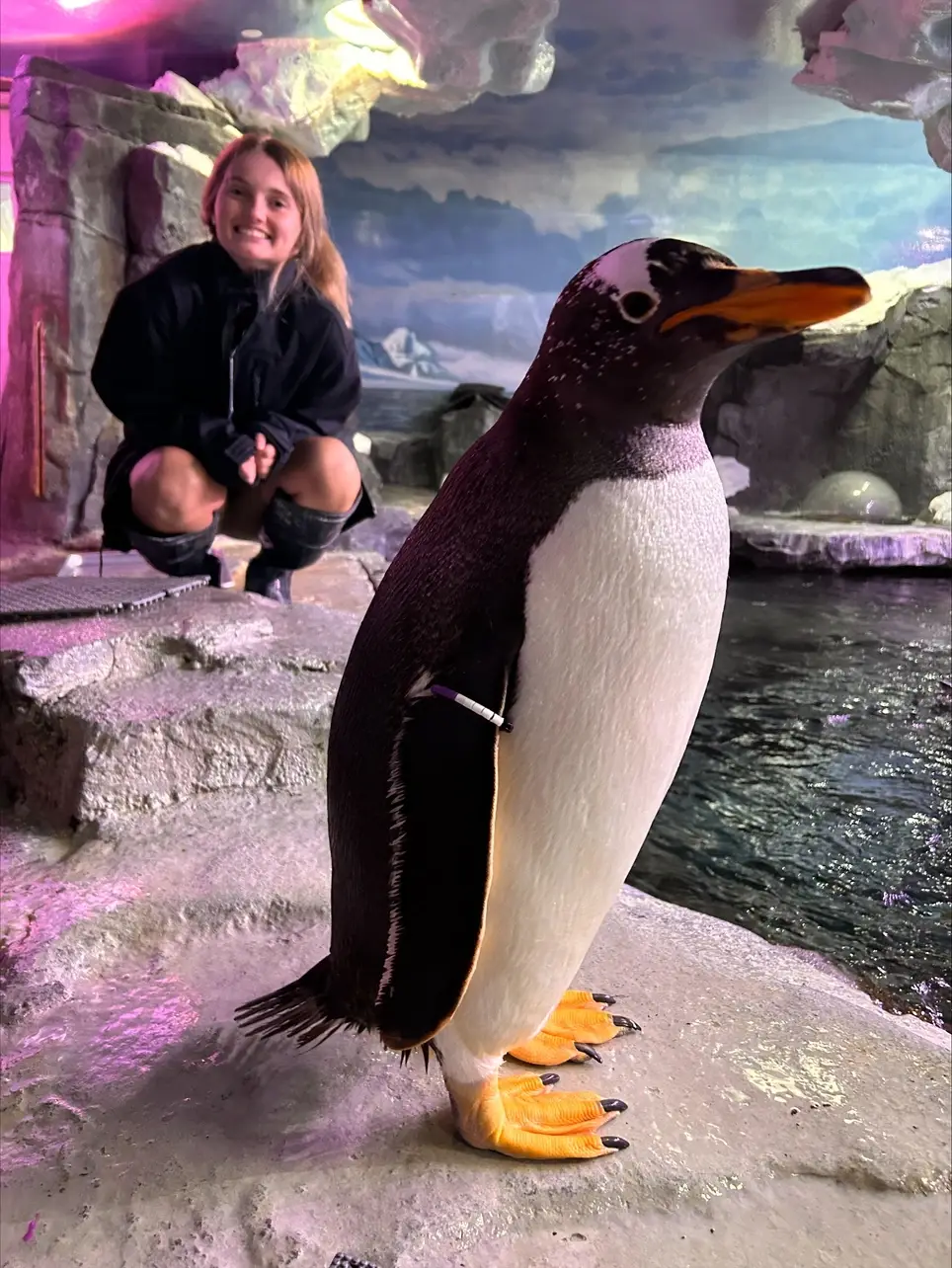 Keeper Internship (Birds, Mammals, Reptiles)