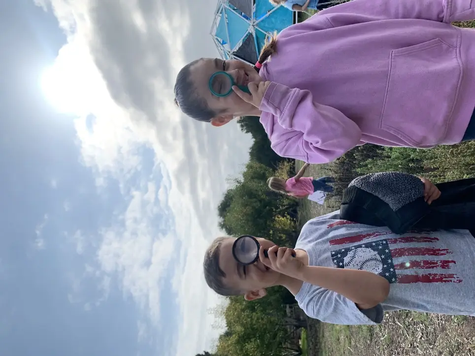 Build Us New Picnic Tables & Benches