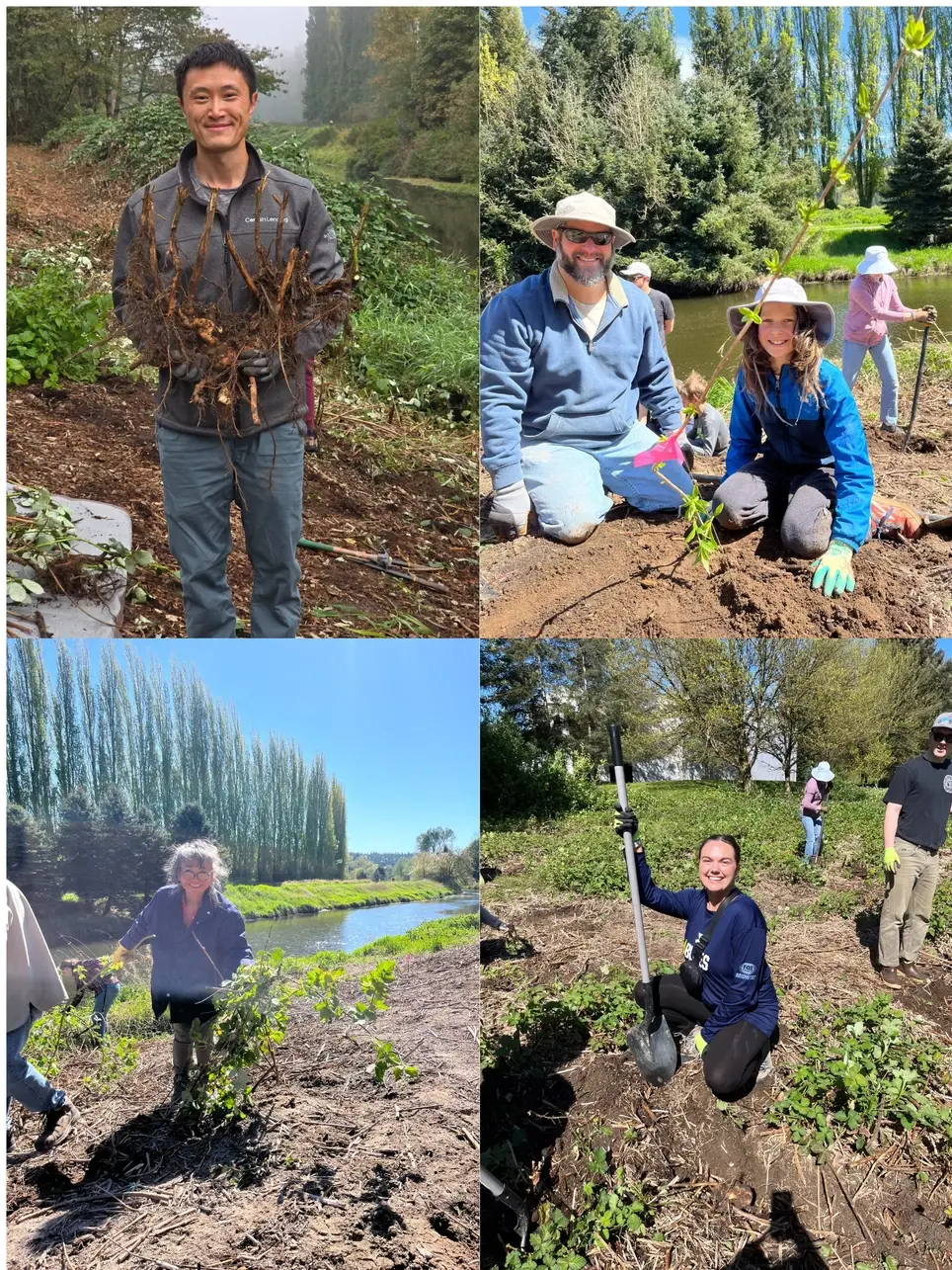 1/19/2025 MLK Day of Service  - Salmon Habitat Restoration Event