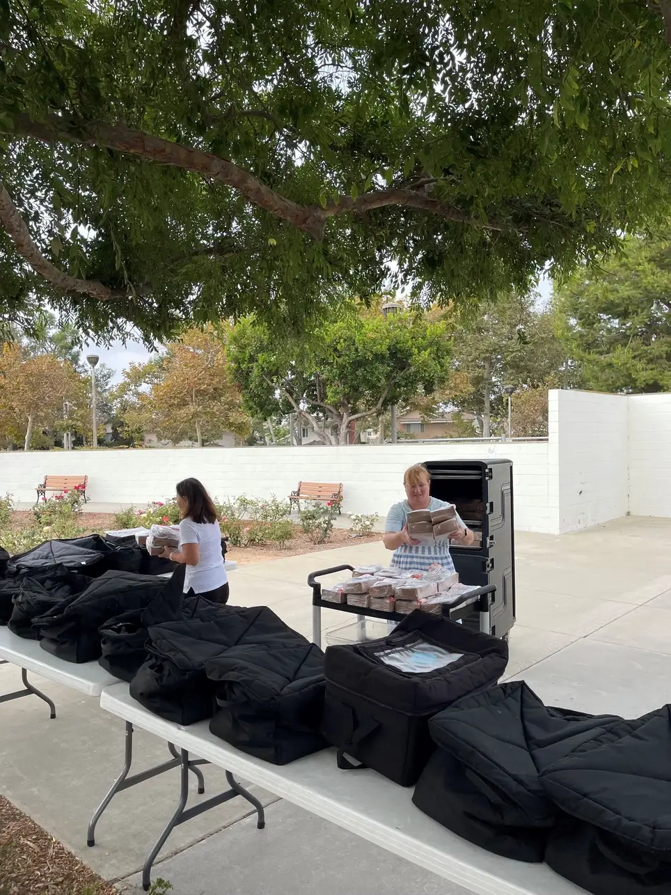 Meals on Wheels Packer