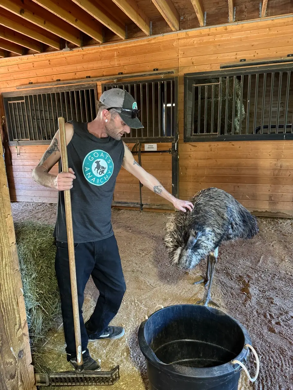 Barn & Animal Care Volunteer