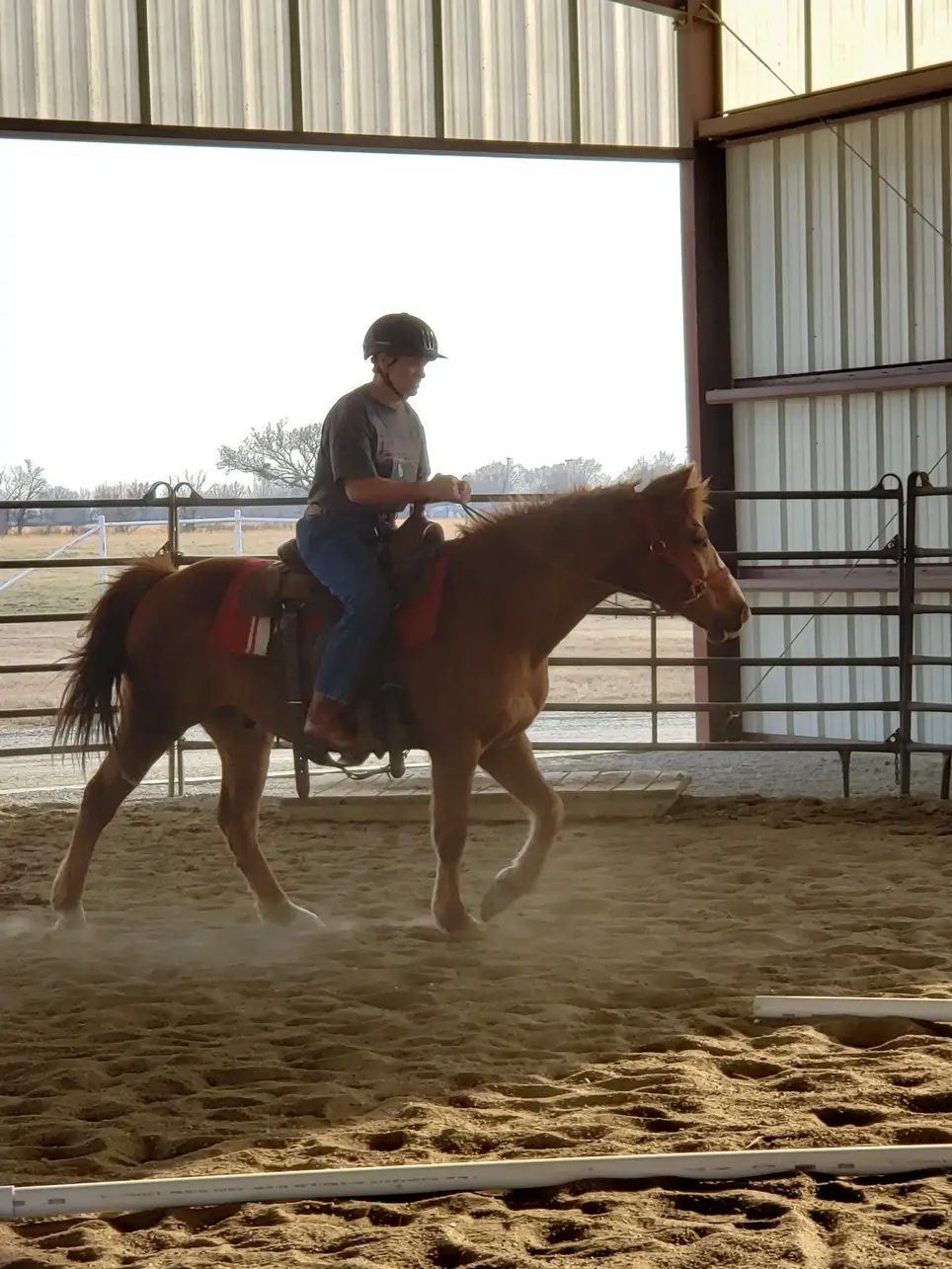 Horse lesson volunteer for Therapeutic riding lessons