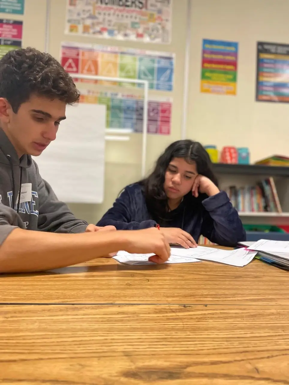 STEM Mentors Needed in the Lake Oswego Portland Area