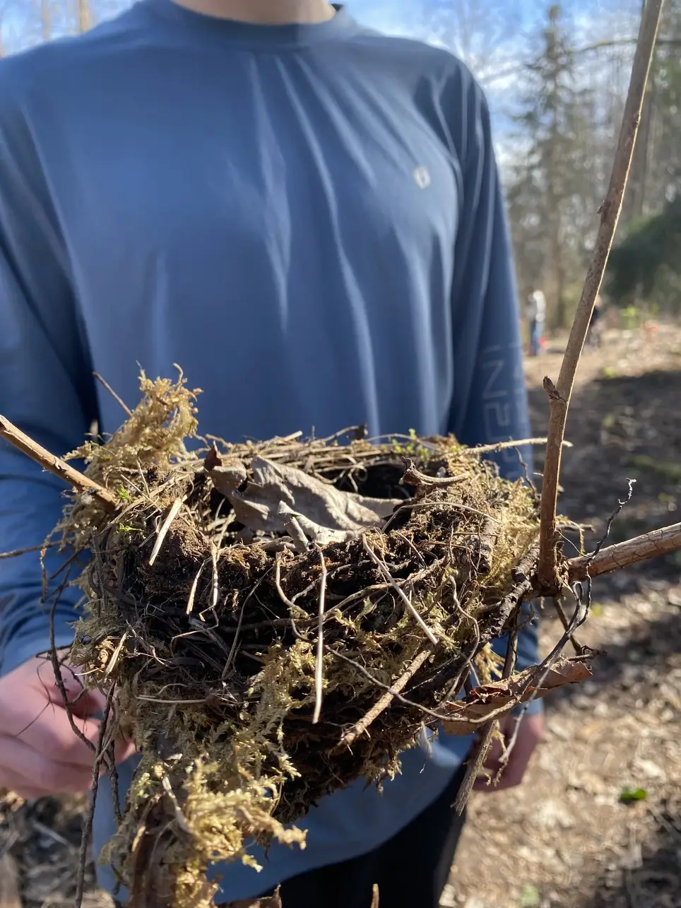 2/6 Swamp Creek Habitat Restoration Project Work Party (in Kenmore) - Wallace Swamp Creek Park