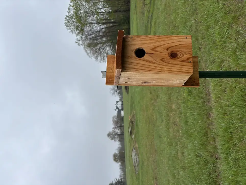 Bluebird House Clean-Out