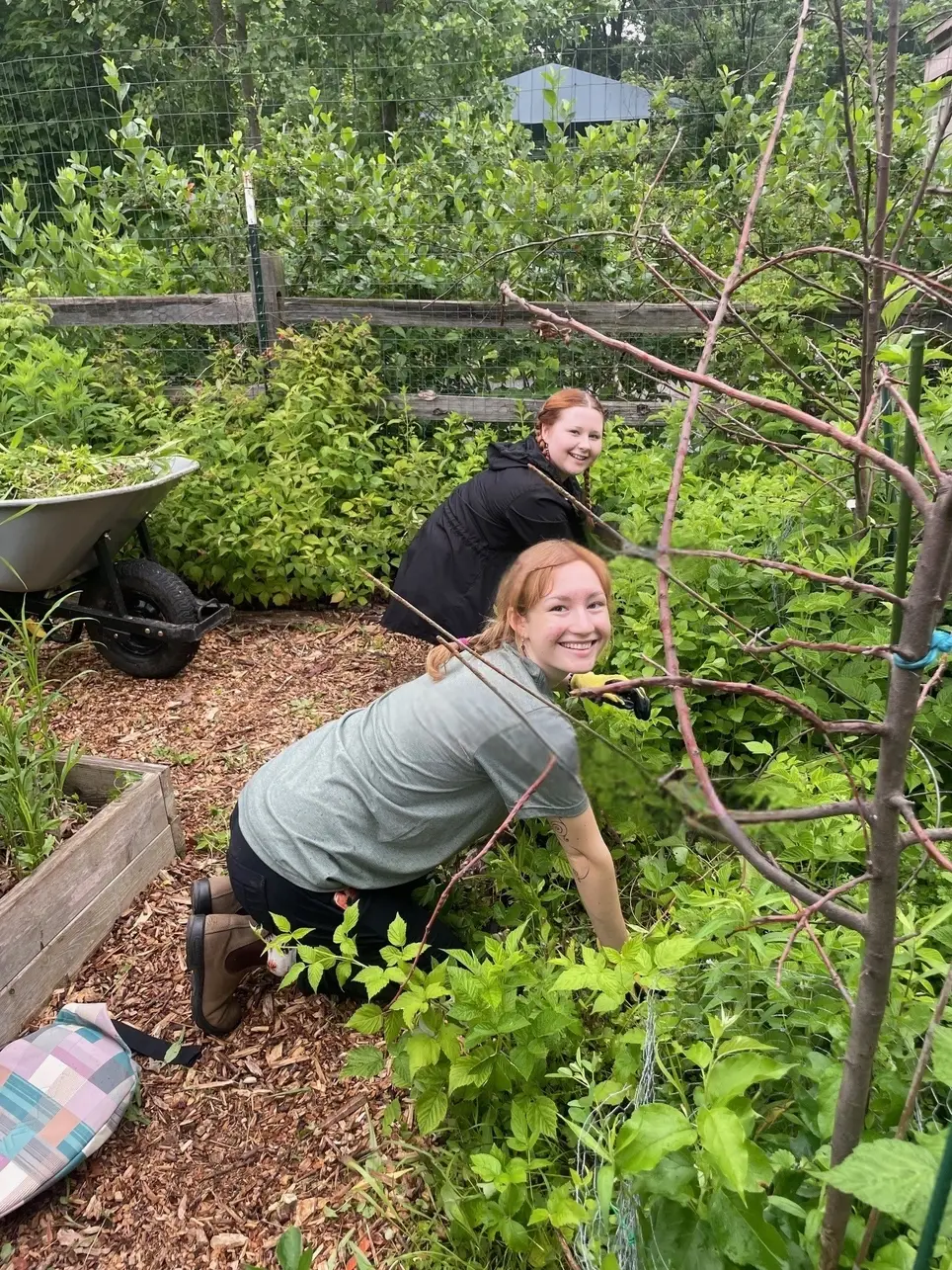Wild Day of Service at Lyman Woods