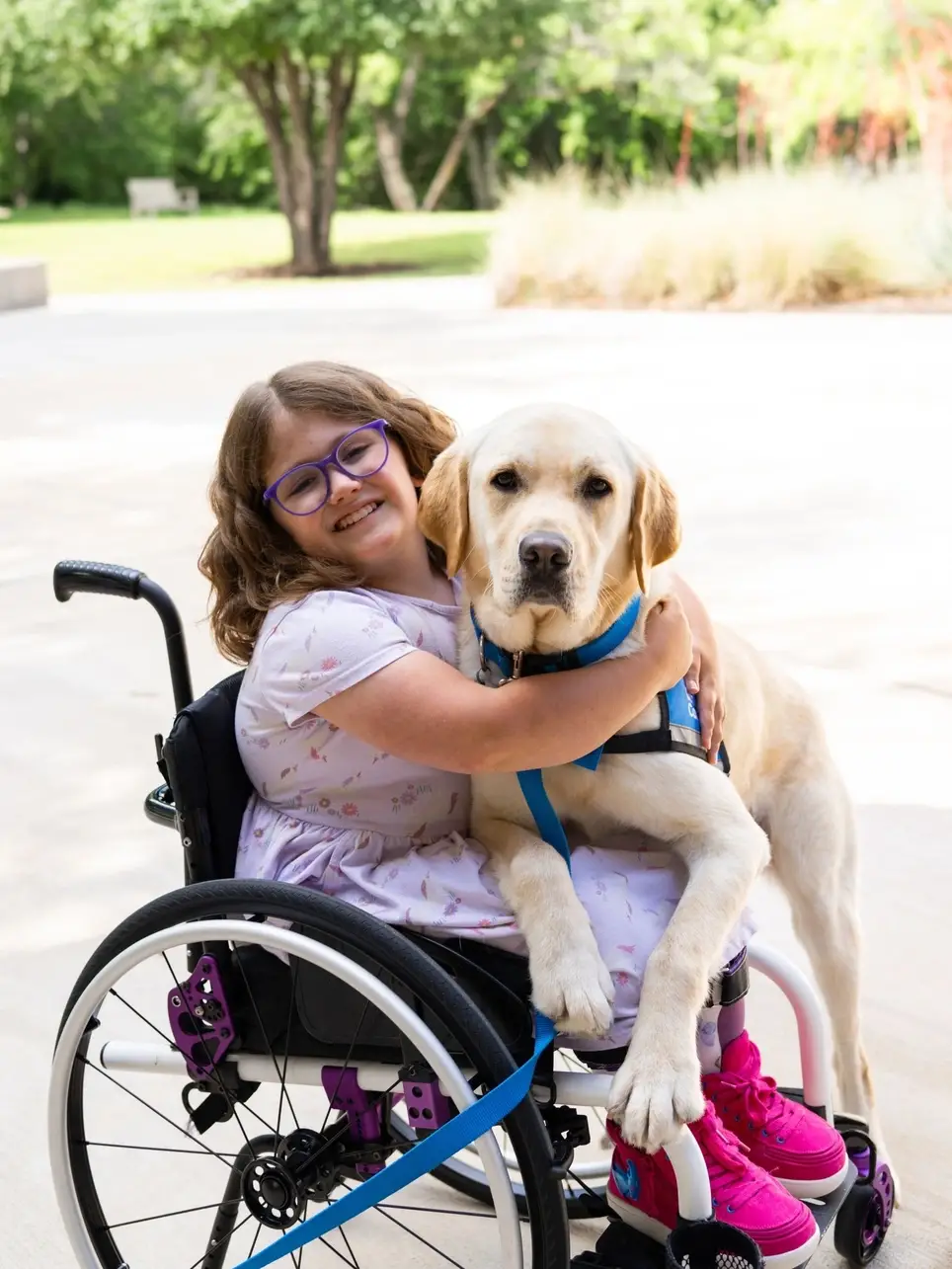 Foster a Future Service Dog