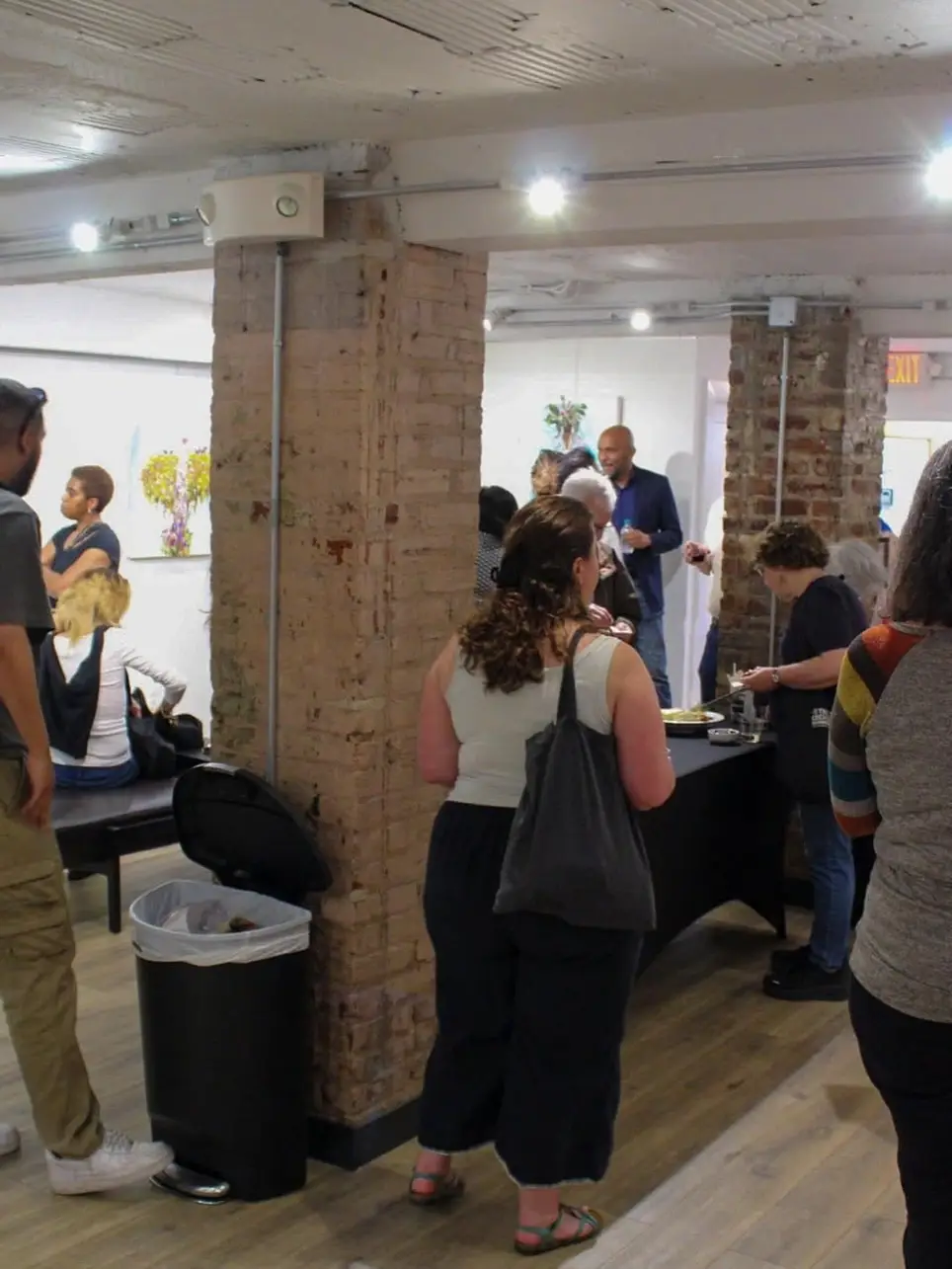 Volunteers for Arts Non-Profit & Gallery