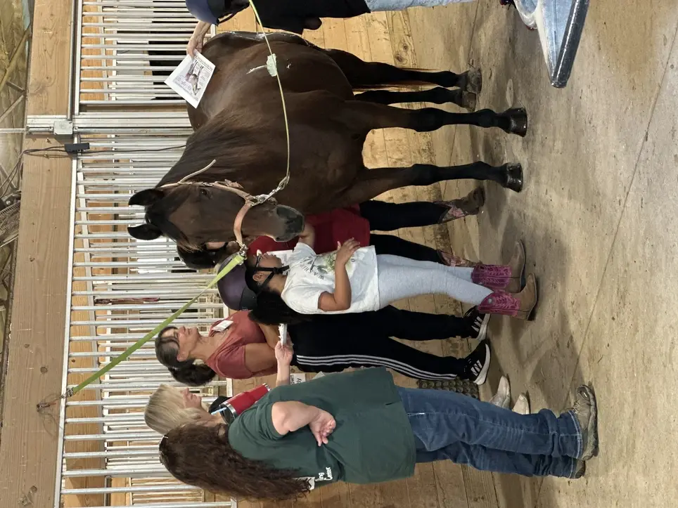 Adaptive Riding Lessons Volunteer