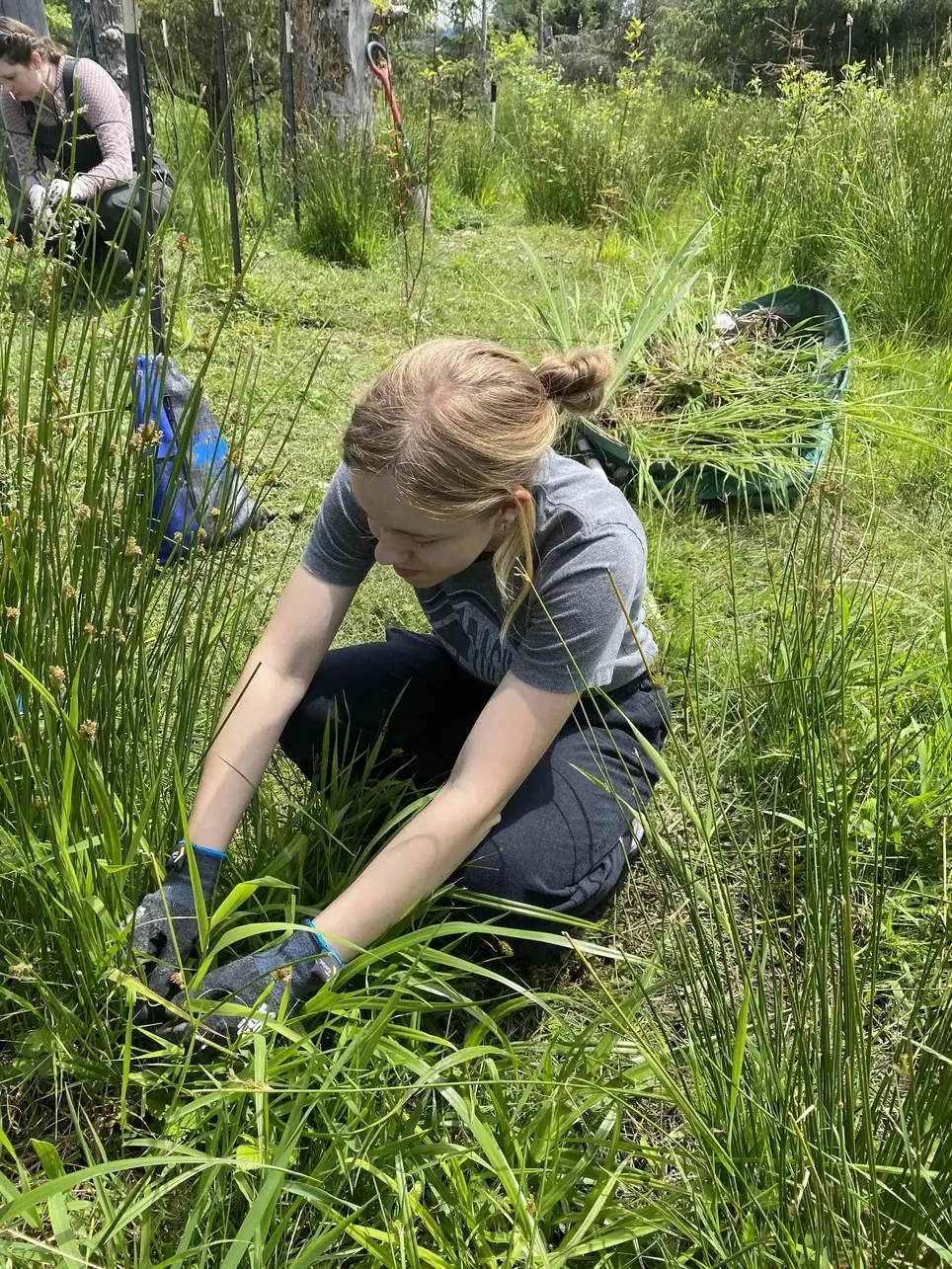 6/13 SALMON HABITAT RESTORATION Mid Sound Fisheries Enhancement Group (in Kenmore) - ƛ̕ax̌ʷadis Park