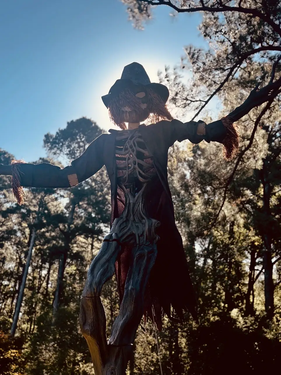 Halloween at the BOOtanical Garden Needs Spooktacular Volunteers