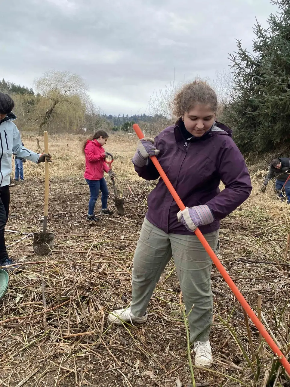 6/20 Swamp Creek Habitat Restoration Work Party (in Kenmore) - 175th St/Swamp Creek SOUTH
