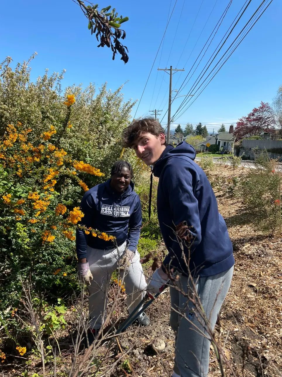 Point Defiance Restoration Work Party and Native Plant Walk, September 13th, 9:30am-noon!