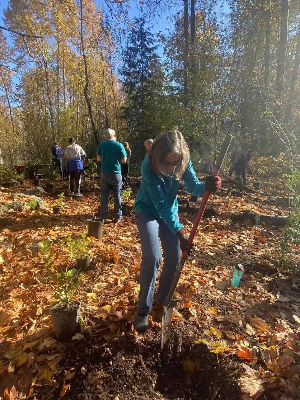 2/14 Swamp Creek Habitat Restoration Work Party (in Kenmore) - Wallace Swamp Creek Park