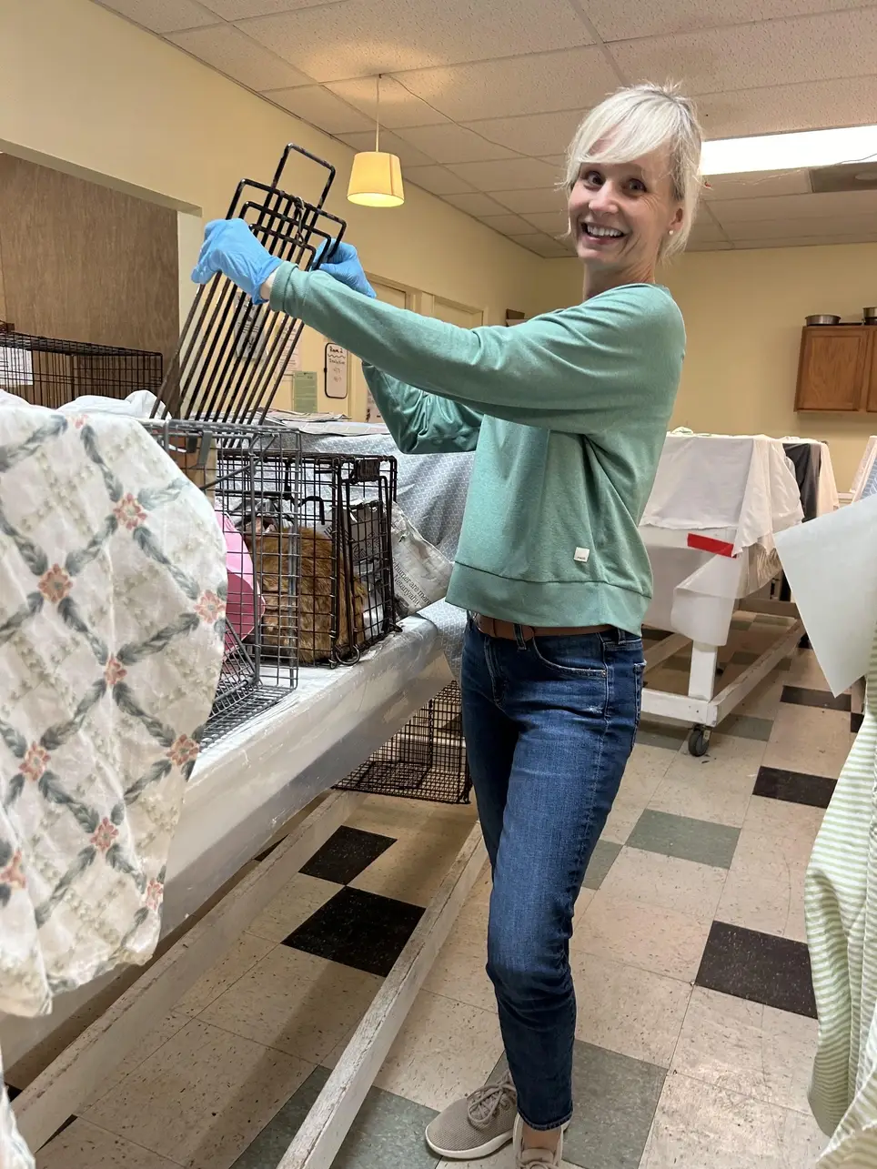 Forgotten Cats Spay/Neuter Post-op Clinic Care