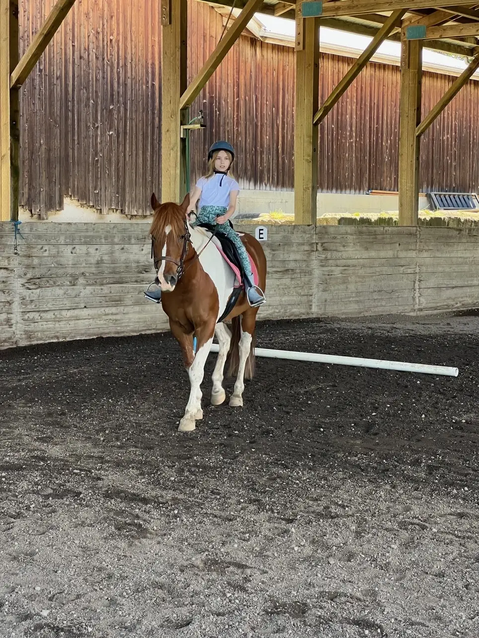 Urgent Need: Volunteer with Horses