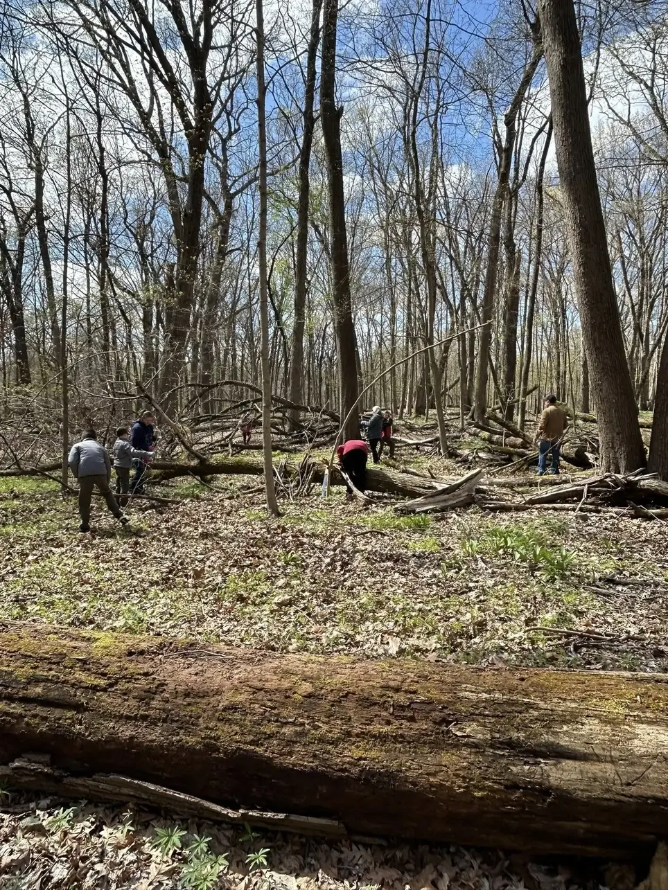Help let the light back into Pilcher Park!